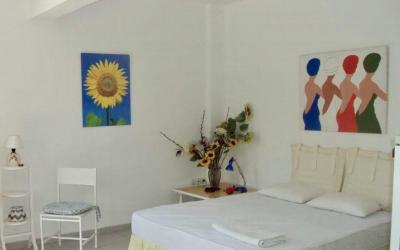 Cozy seafront studio